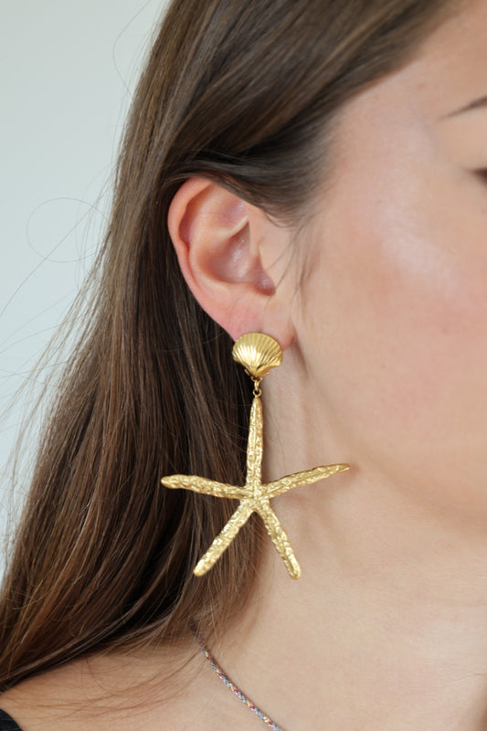 Boucles d'oreilles Rosa