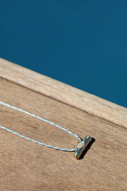 COLLIER LUCAS